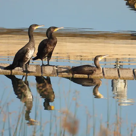Vicarias Holiday home Monteagudo de las Vicarias