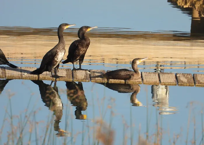 Vicarias Nyaraló Monteagudo de las Vicarías